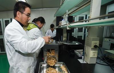 科技創新助力制藥企業發展