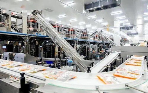 嚴(yán)防嚴(yán)控安全風(fēng)險(xiǎn) 河北部署開展冷凍飲品 速凍食品生產(chǎn)企業(yè)專項(xiàng)整治行動(dòng)